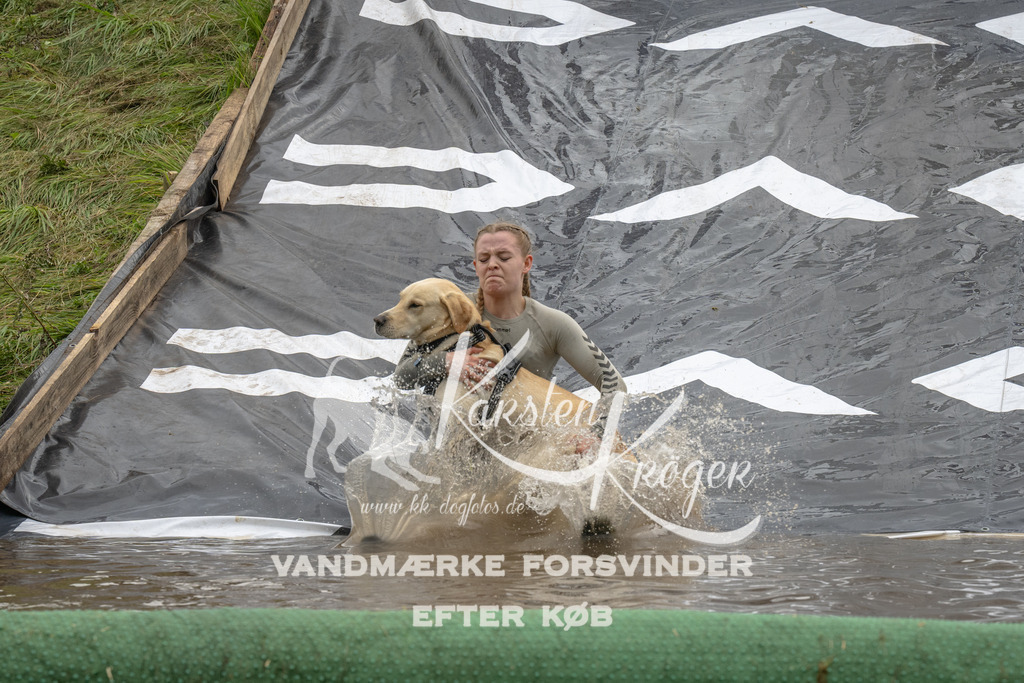 1548_ZZ90813 | kk-dogfotos