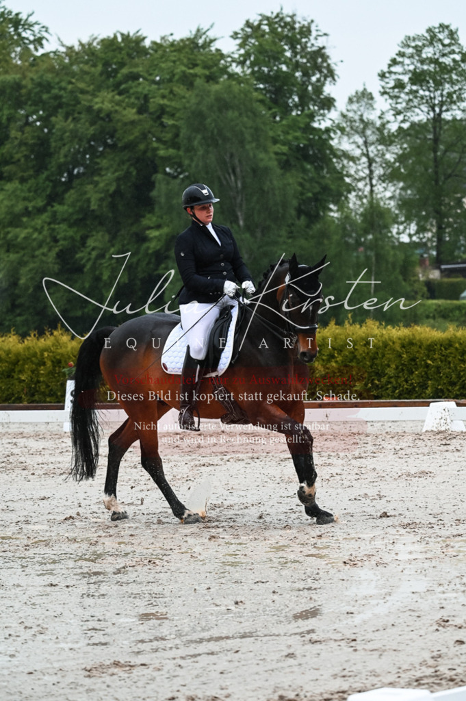 DSC_4549 | Pferde- und Turnierfotografie in Westsachsen. Pferdeportraits, Auftragszeichnungen und intuitive Kunst.