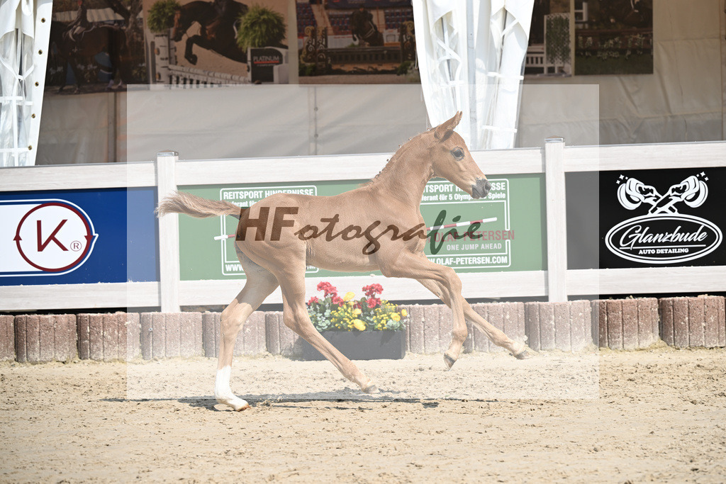 Va Bene x Savoy_HF_Groll_12250376 | hf-fotografie - Realisiert mit Pictrs.com