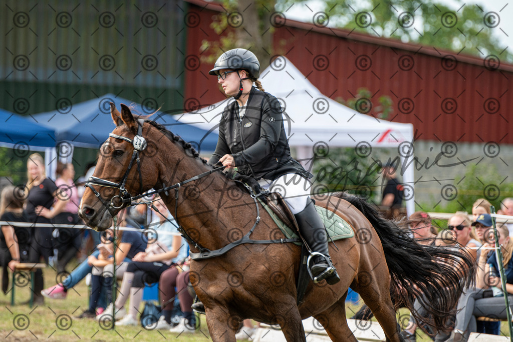 SHT_7558 | andre_photographic