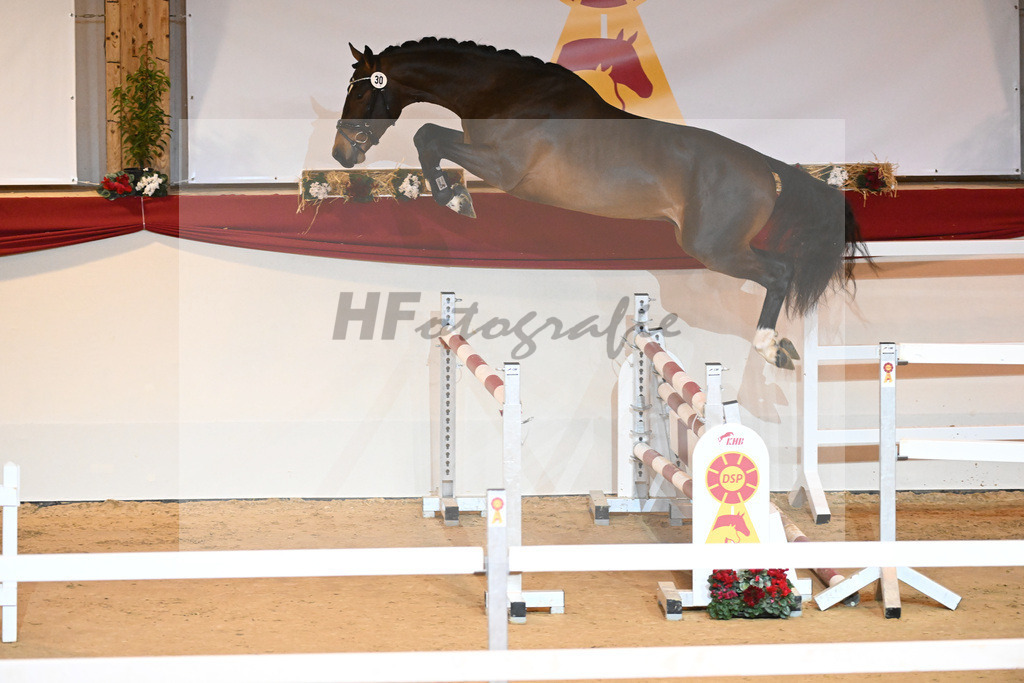 Kat-Nr. 30 Opium v d Moerhoeve_Keppel_1230967 | hf-fotografie - Realizzato con Pictrs.com