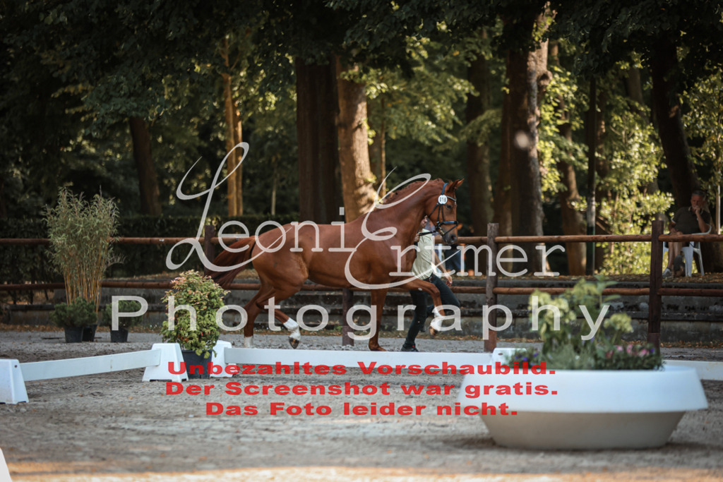 DoER00006 | Leoni Ertmer Photography - Realisiert mit Pictrs.com