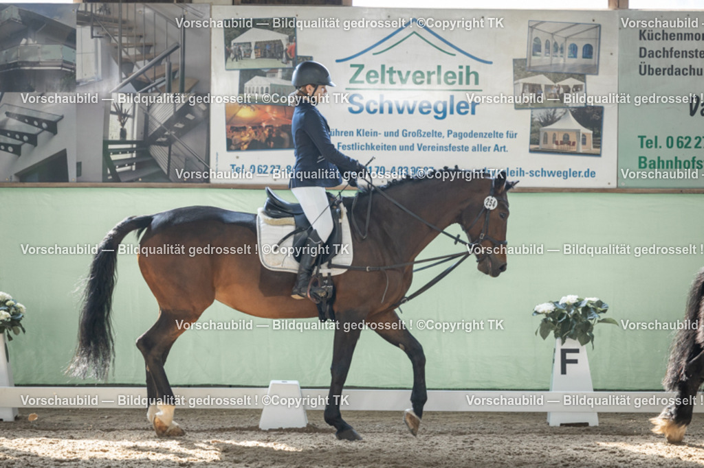 _D5A8929 | Emotionale Pferde- & People-Fotografie rund um Heidelberg, Leimen & Umgebung. Natürliche Fotos von Pferd, Mensch & Familie. Jetzt Termin sichern!