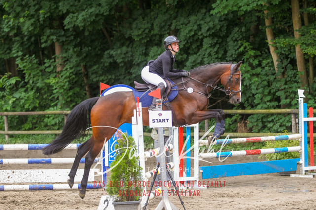DKP45023 | Turnierfotos kaufen im Webshop von Daniel Kuhl Photography – entdecke professionelle Reitsportfotos aus Turnieren & Events. Hochwertige Turnierbilder online bestellen & sichern. Jetzt Fotos von Reitsportturnieren kaufen!