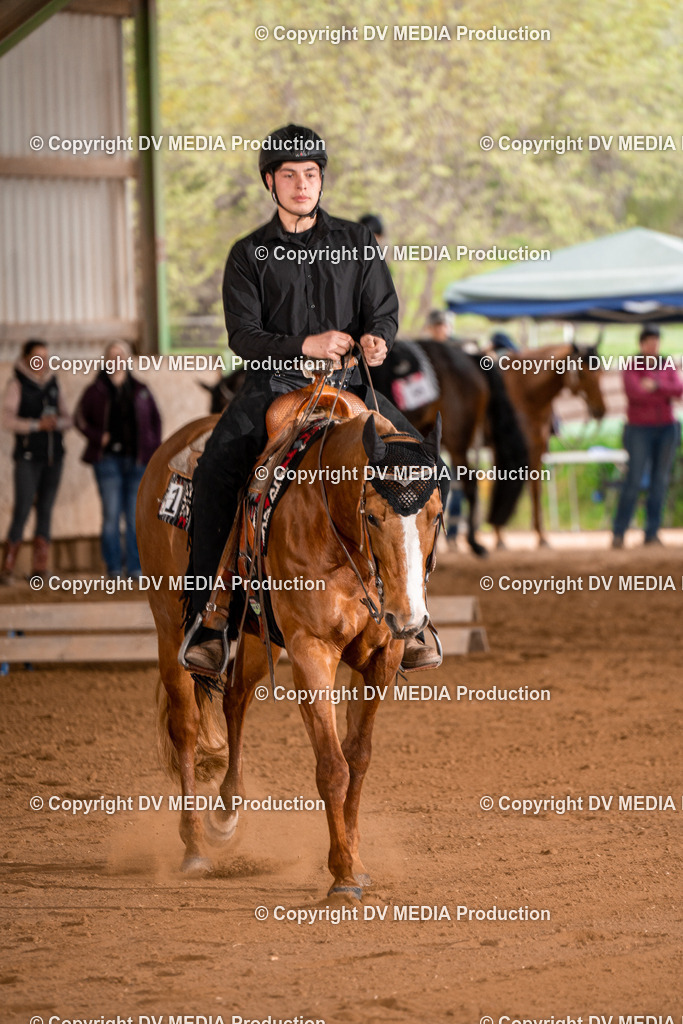 BA400636 | dv-media-shop - Realisiert mit Pictrs.com