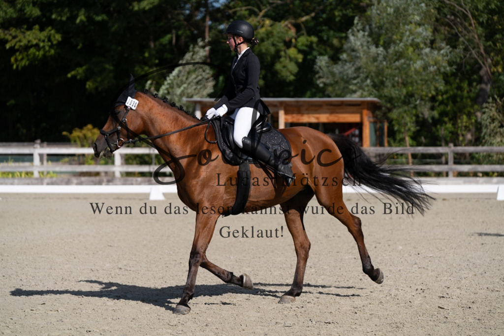 A7V06954 | Turnier/Reitfotograf