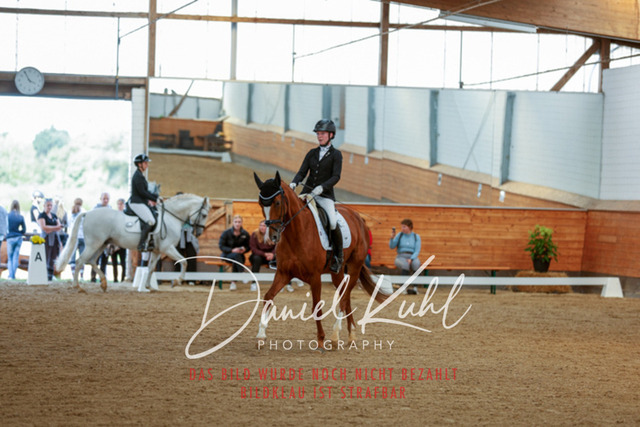 _62_7567 | Turniersportfotografie; Pferdefotografie; Dressurfotografie