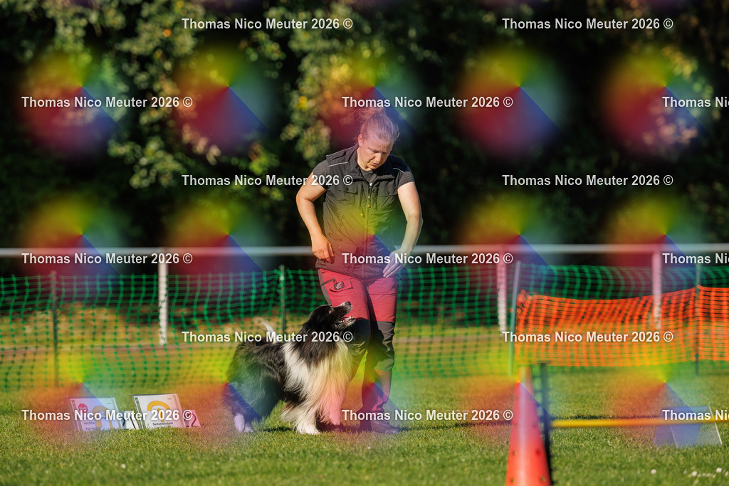 Thomas_Nico_Meuter(C)_04. Oktober 2026_223A3553 | Bild von Thomas Nico Meuter - Realisiert mit Pictrs.com