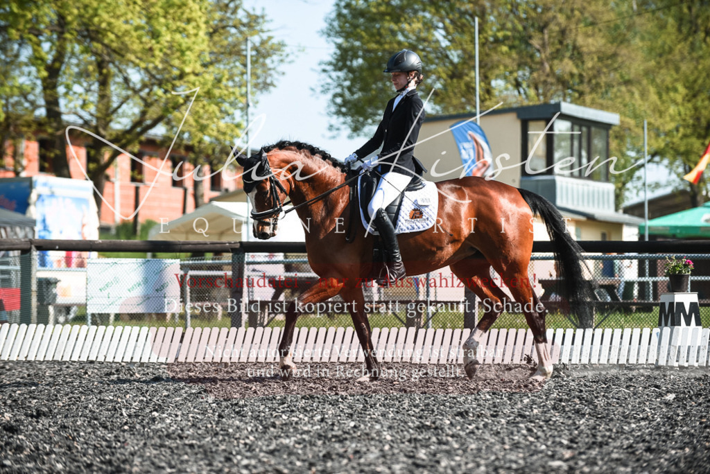 DSC_8664 | Pferde- und Turnierfotografie in Westsachsen. Pferdeportraits, Auftragszeichnungen und intuitive Kunst.