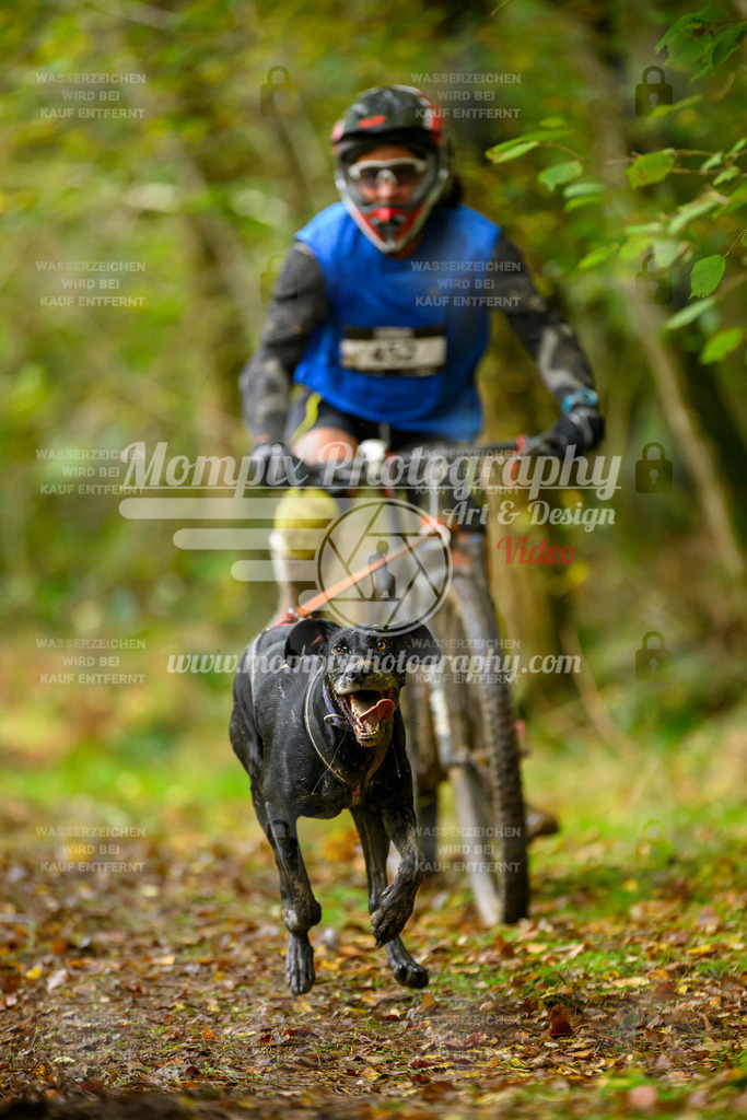 MompixPhotography_20TSB_E1_Bike-64 | PayLife