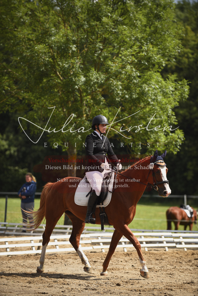 DSC_0854 | Pferde- und Turnierfotografie in Westsachsen. Pferdeportraits, Auftragszeichnungen und intuitive Kunst.