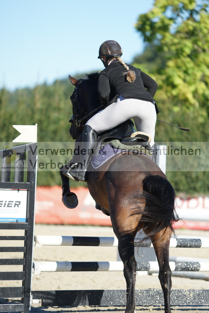DSC08291 | equestrian-live-com