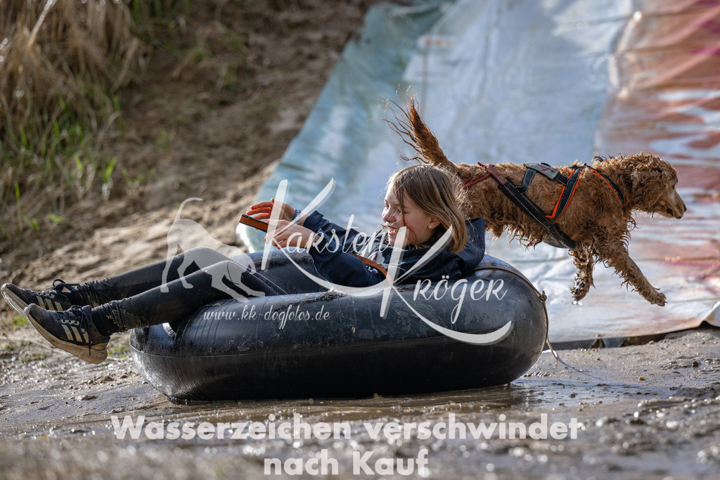 1550_ZZ91657 | kk-dogfotos