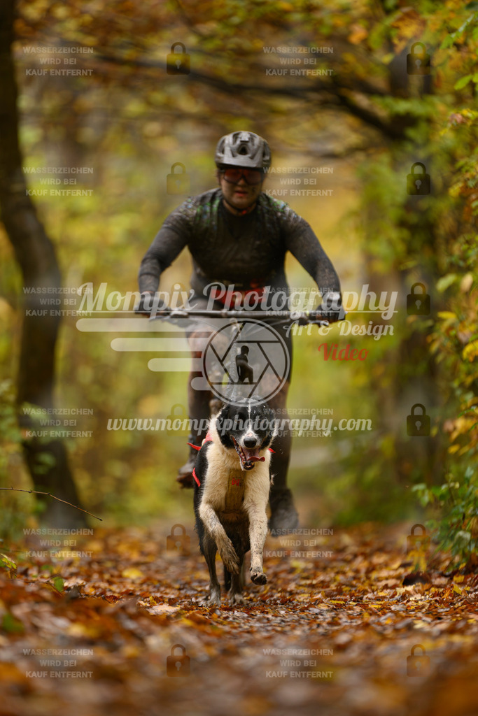 MompixPhotography_CD7S_DI_Bike-81 | mompixphotography