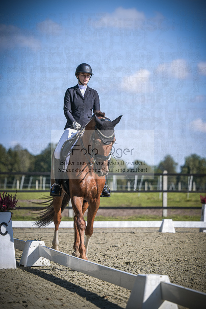 DOS_3214 | Entdecke hochwertige Reitturnierfotos von Foto Oger. Professionell, emotional und authentisch – jetzt Lieblingsmomente im Shop bestellen.Deutschlandweite Turnierfotografie. - Realisiert mit Pictrs.com