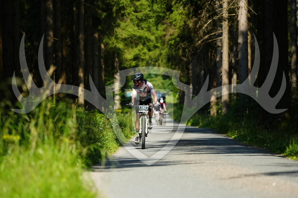 FC102597 | Fotogalerie der Treibjagd im Dunkelwald - Dein MTB Etappenrennen im Erzgebirge - Realisiert mit Pictrs.com