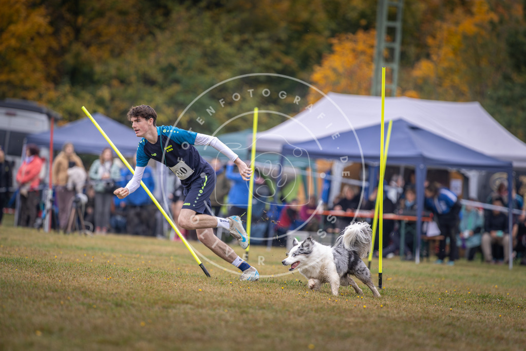 Pfotenfotografie_DV3A1227 | Hundefotografie, Tierfotograf, Pfotenfotografie, Fotoshooting Hund, Hunde Portrait, Hundesport, Hundeportraits, Heideshooting, Hunde, Sportfotograf, Hundefotograf, Turnierhundsport, THS,  - Realisiert mit Pictrs.com