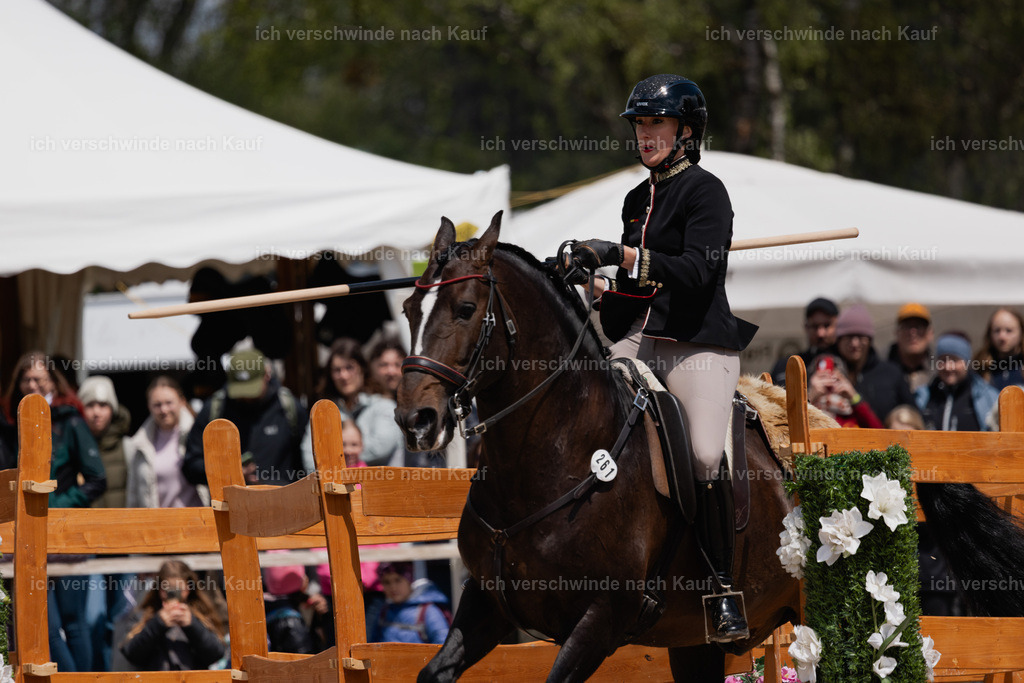 PI26_SP_StoibphotographyC2_C3530.CR3 | working equitationturnier fotograf videograf stoibphotography marixx film working equitation deutschland reitsport turnierfotografie eventfotografie equestrian events