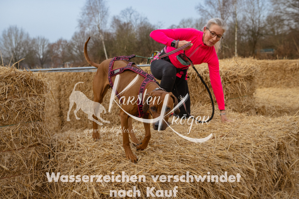 0826_ZZ92962 | kk-dogfotos
