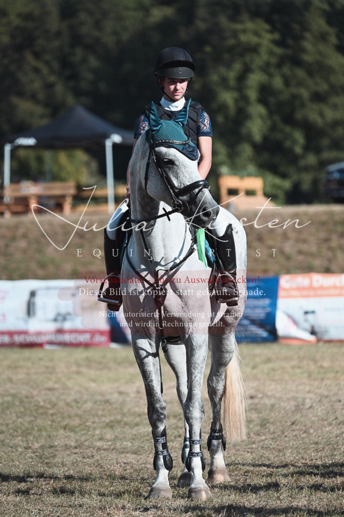 DSC_8863 | Pferde- und Turnierfotografie in Westsachsen. Pferdeportraits, Auftragszeichnungen und intuitive Kunst.