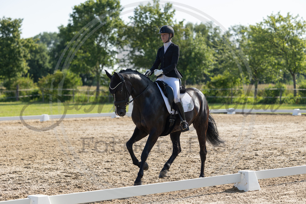 994A4212 | sabrinanicolaifotografie - Realisiert mit Pictrs.com