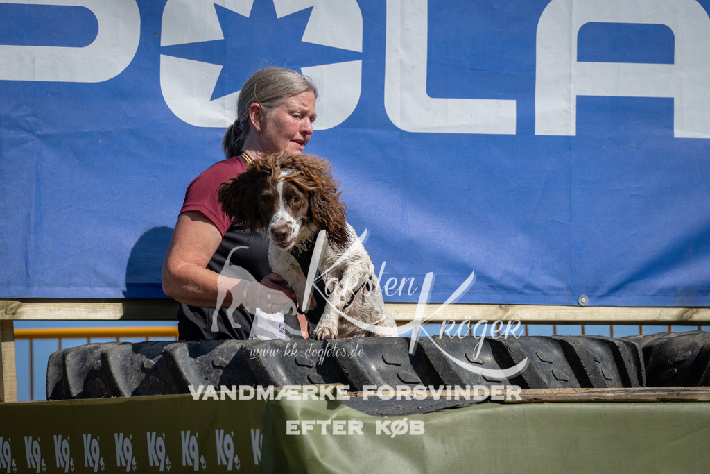 1157_ZZ92996 | kk-dogfotos