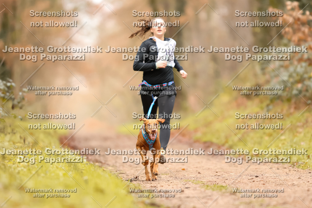 Dog Paparazzi - Speedhunter Mannheim  2025-126 | Dog Paparazzi Jeanette Grottendiek Fotografie & Videografie