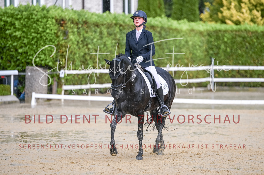 Schugtsche-Aluta25-55.Dressurreiterprf.L1Tr-330 | Schugtsche Fotografie - Realisiert mit Pictrs.com