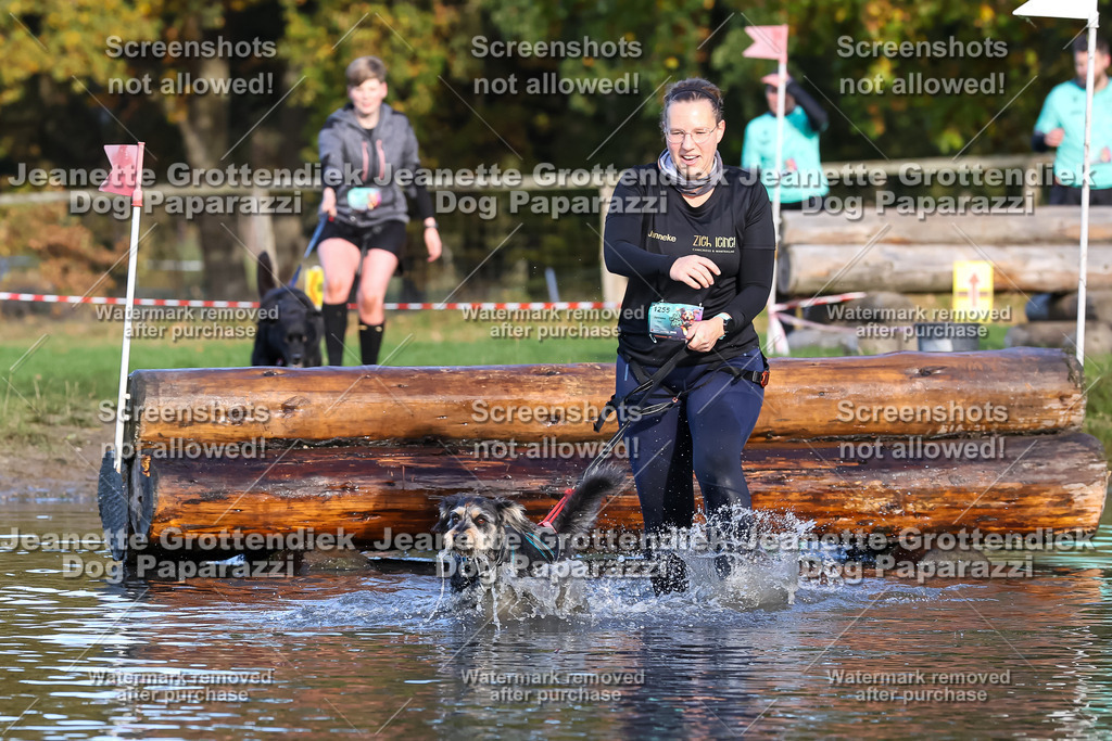 Dog Paparazzi - Strongdog 10-25-8605 | Dog Paparazzi Jeanette Grottendiek Fotografie & Videografie - Realisiert mit Pictrs.com