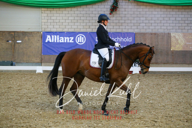 IMG_2977 | Turnierfotos kaufen im Webshop von Daniel Kuhl Photography – entdecke professionelle Reitsportfotos aus Turnieren & Events. Hochwertige Turnierbilder online bestellen & sichern. Jetzt Fotos von Reitsportturnieren kaufen!
