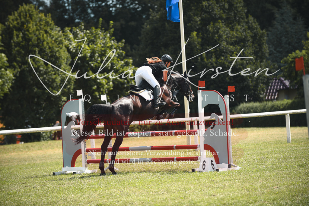 DSC_6685 | Pferde- und Turnierfotografie in Westsachsen. Pferdeportraits, Auftragszeichnungen und intuitive Kunst.
