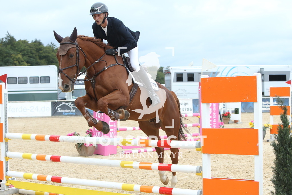 DL2Q1484 | Willkommen bei Brunnmayr - Design & Fotografie – Ihrem Spezialisten für Reitturniere und Pferdeveranstaltungen in Oberösterreich, Salzburg und Bayern! Seit über 17 Jahren sind wir leidenschaftlich dabei.