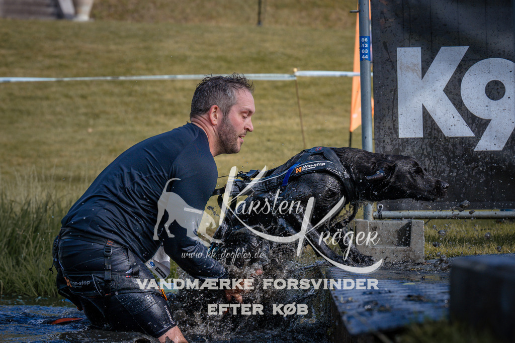 _ZZ986370806 | kk-dogfotos