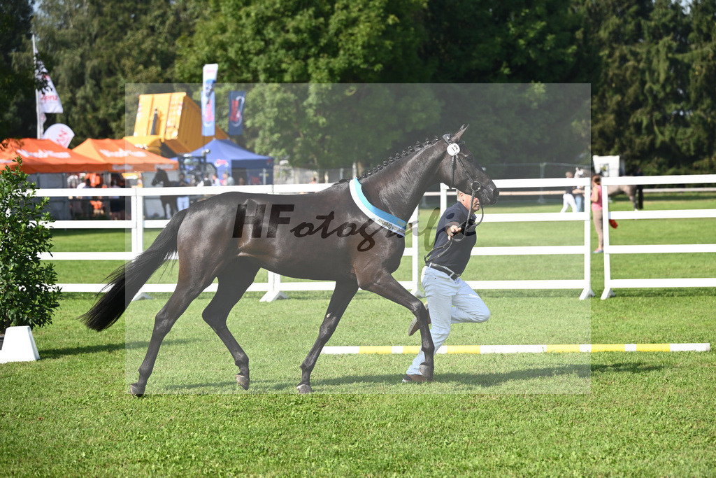 Kat-Nr. 12 Black Besinda H.S_12 | hf-fotografie - Realisiert mit Pictrs.com