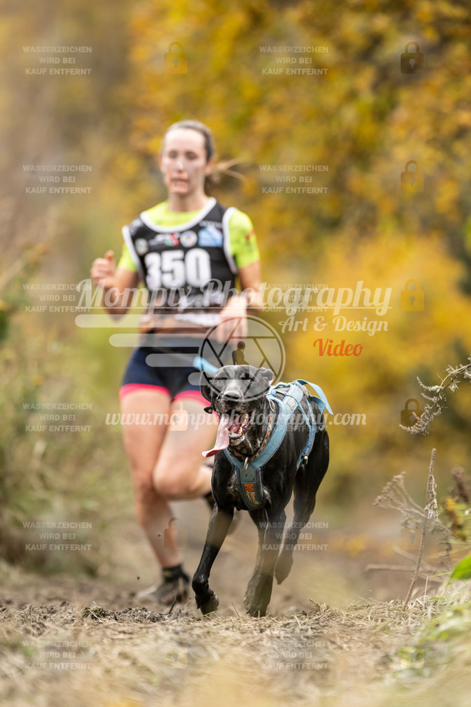 MompixPhotography_ICF_WC_2024_SA_Run_-250 | PayLife
