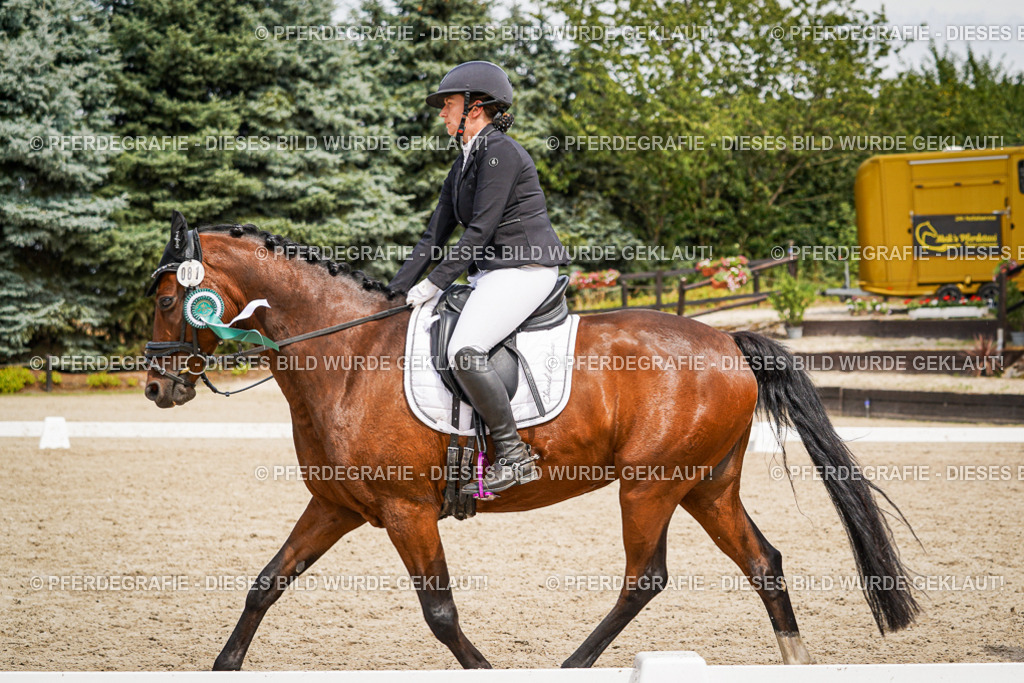 DSC04667 | Pferdegrafie