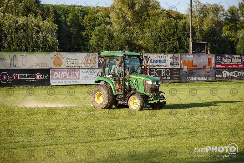 202507_Rernböck-Rasen_NZ9_1352 | proPHOTO - Realisiert mit Pictrs.com