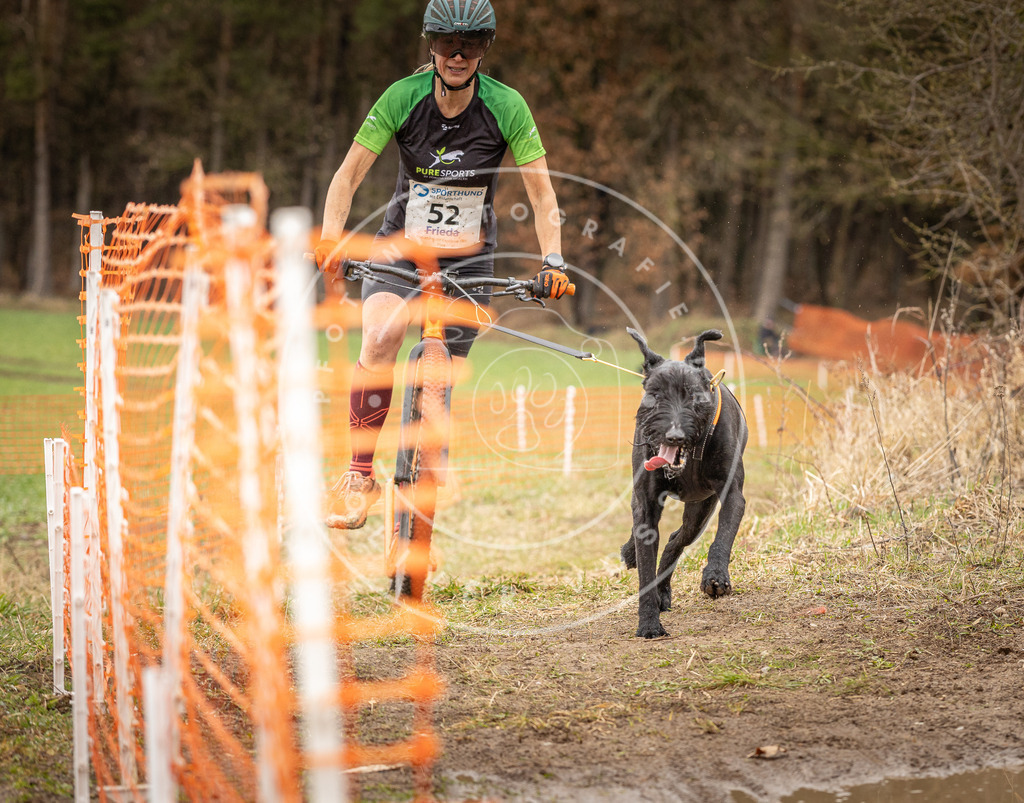 DV3A1545 | Hundefotografie, Tierfotograf, Pfotenfotografie, Fotoshooting Hund, Hunde Portrait, Hundesport, Hundeportraits, Heideshooting, Hunde, Sportfotograf, Hundefotograf, Turnierhundsport, THS,  - Realisiert mit Pictrs.com