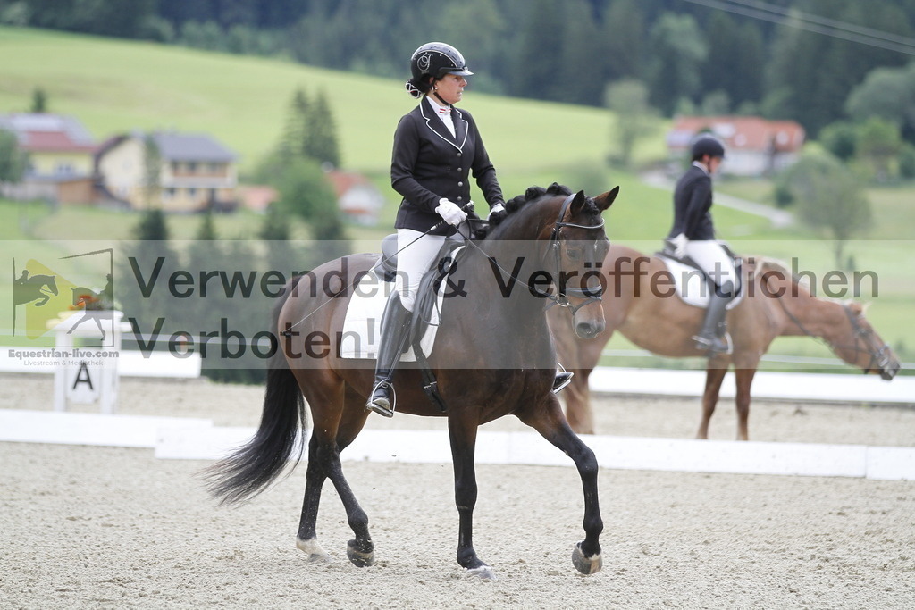 _MG_2976 | equestrian-live-com