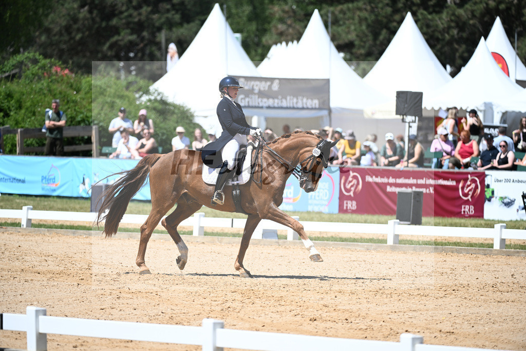 Lorenz_Dancong Fire G_11254584 | hf-fotografie - Realisiert mit Pictrs.com