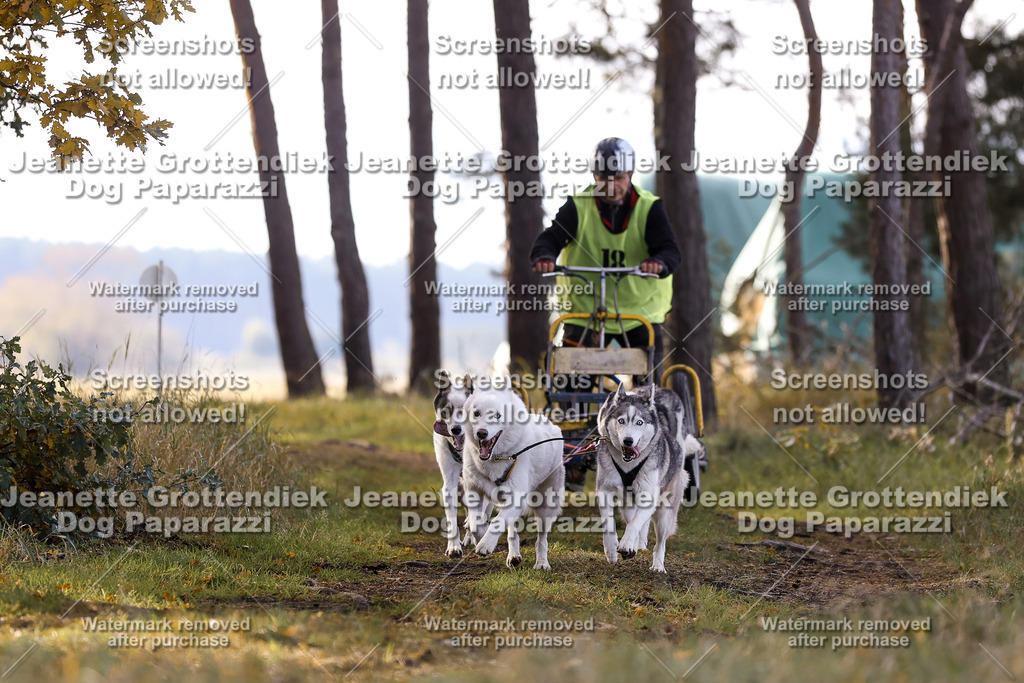 Dog Paparazzi - Elsholz 25 -92 | Dog Paparazzi Jeanette Grottendiek Fotografie & Videografie - Realisiert mit Pictrs.com