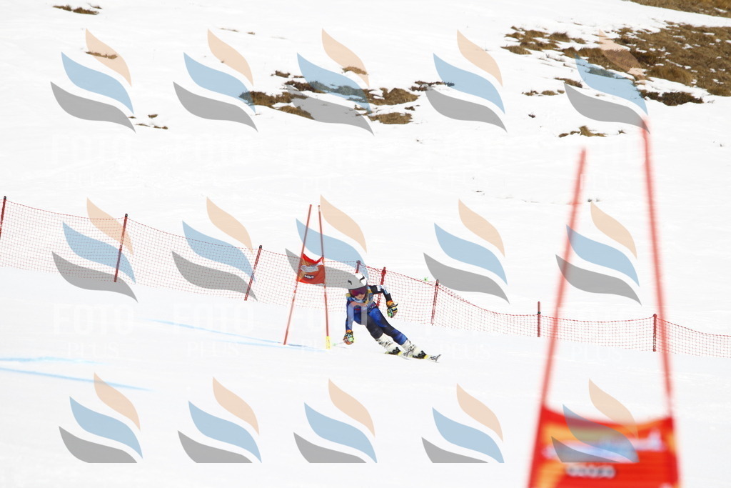 _U3G5384 | holidayphoto