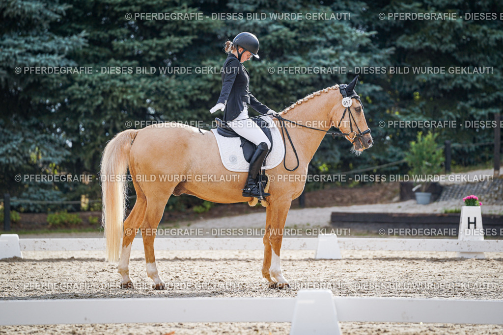 DSC00914 | Pferdegrafie