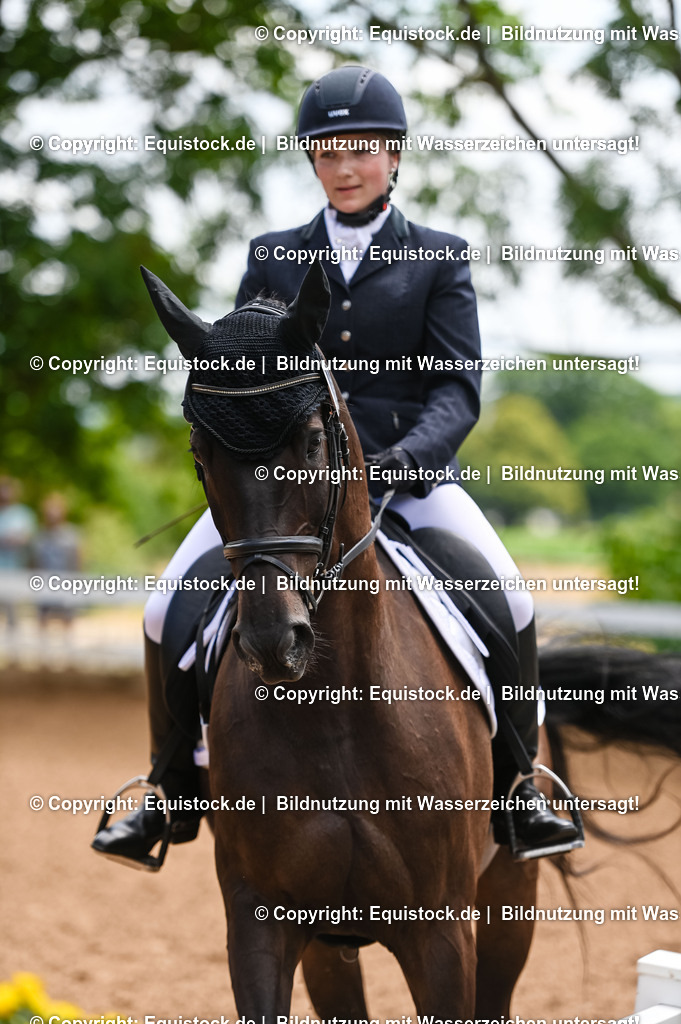 20230716_03_Dressurprfg. Kl.L - Tr._0361 | equistock