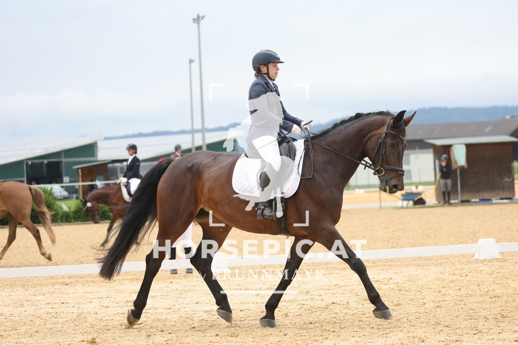 0P6A8577 | Willkommen bei Brunnmayr - Design & Fotografie – Ihrem Spezialisten für Reitturniere und Pferdeveranstaltungen in Oberösterreich, Salzburg und Bayern! Seit über 17 Jahren sind wir leidenschaftlich dabei.