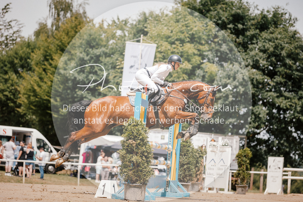3I6A7737 | Stimmungsvolle Portraits und Reitsportfotografie im Ruhrgebiet und im Münsterland.

Pferdefotografie, Hundefotografie, Tierfotografie, Reportagen, Portraits von Tier und Mensch, Turnierfotografie in Bochum, Recklinghausen, Marl, Haltern am See, Dülmen.. - Realisiert mit Pictrs.com