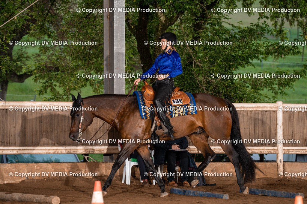 Erbach Tag 3-17 | dv-media-shop - Realisiert mit Pictrs.com