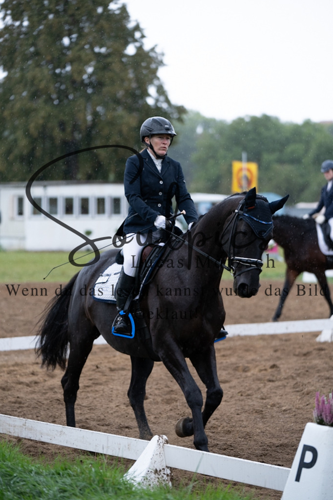 A7V05958 | Pferdefotograf