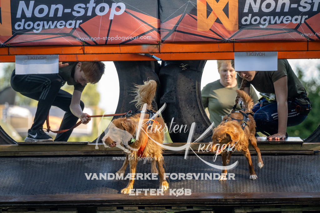 0904_ZZ90304 | kk-dogfotos