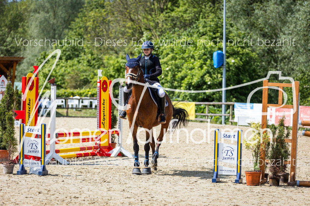 Donop24-SprRW-024 | MomenTaufnahmen Pferdesportfotos